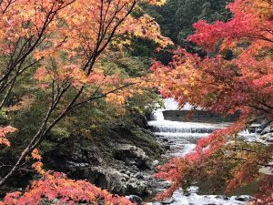 小辺路　　熊野古道　紅葉　釣り