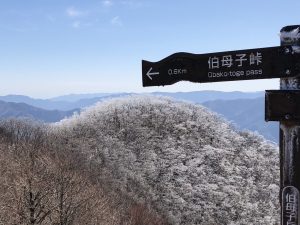 小辺路　伯母子岳　伯母子峠
