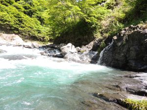 渓流釣り　管理釣り場　あまごつり