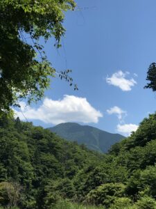 夏虫山