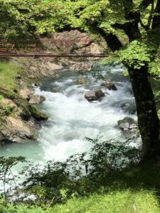 周囲を山と川に囲まれた自然豊かな宿